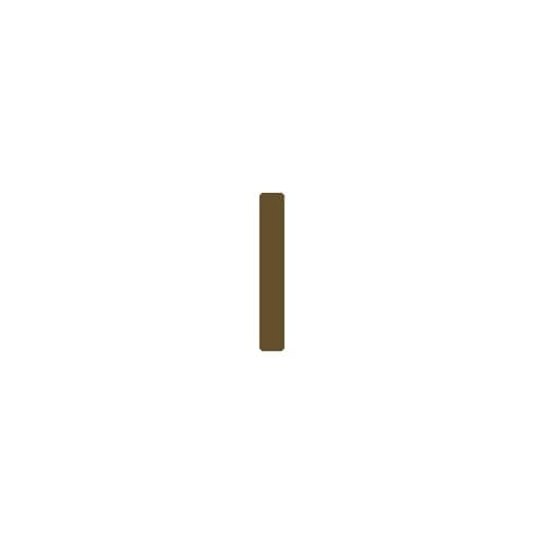 Dainty 14K Gold Plated Initial Anklet for Women