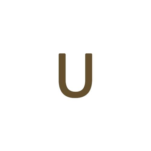 Dainty 14K Gold Plated Initial Anklet for Women