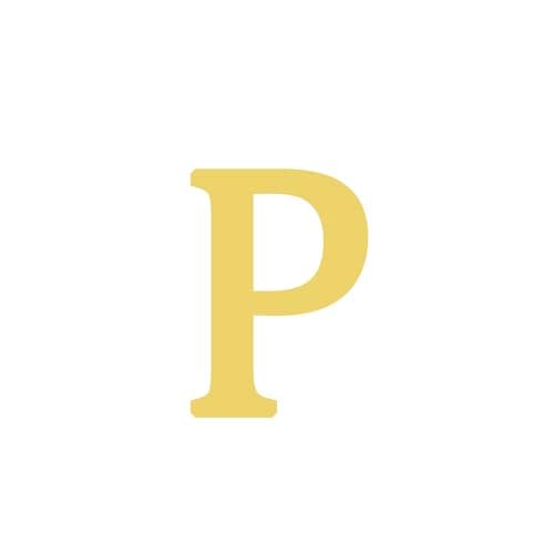 BAYLAY 18K Gold Plated Initial Bracelet for Women