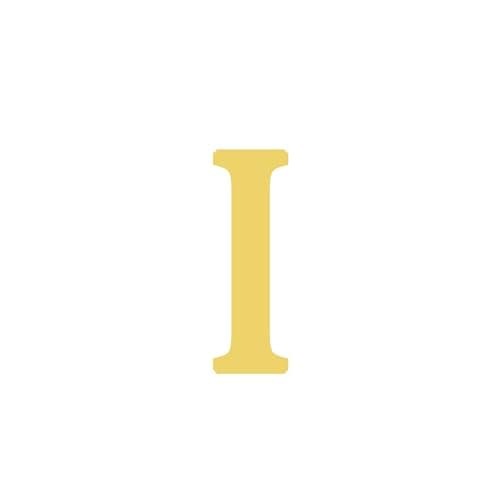 BAYLAY 18K Gold Plated Initial Bracelet for Women