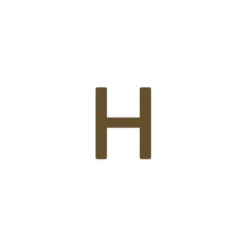 Dainty 14K Gold Plated Initial Anklet for Women