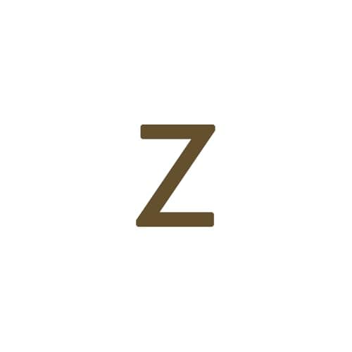 Dainty 14K Gold Plated Initial Anklet for Women