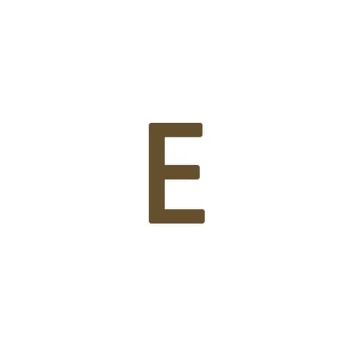 Dainty 14K Gold Plated Initial Anklet for Women