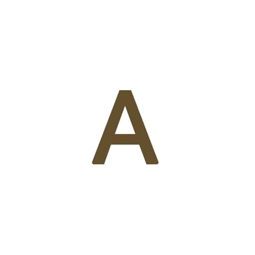 Dainty 14K Gold Plated Initial Anklet for Women