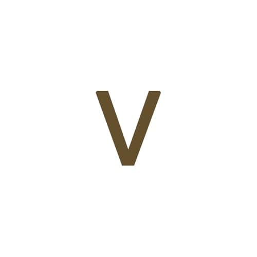 Dainty 14K Gold Plated Initial Anklet for Women