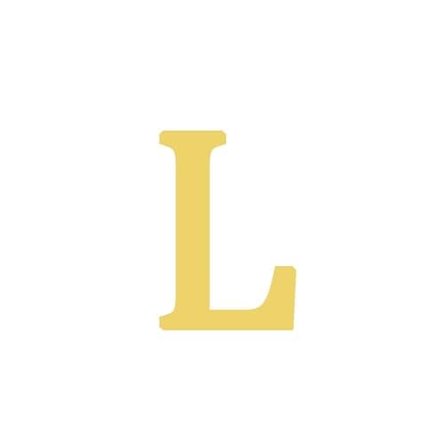 BAYLAY 18K Gold Plated Initial Bracelet for Women