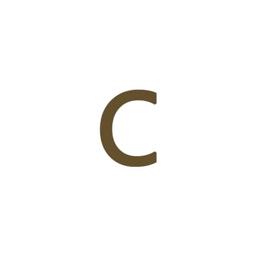 Dainty 14K Gold Plated Initial Anklet for Women