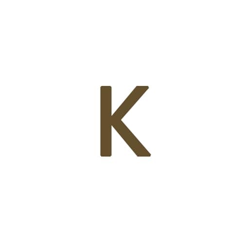 Dainty 14K Gold Plated Initial Anklet for Women
