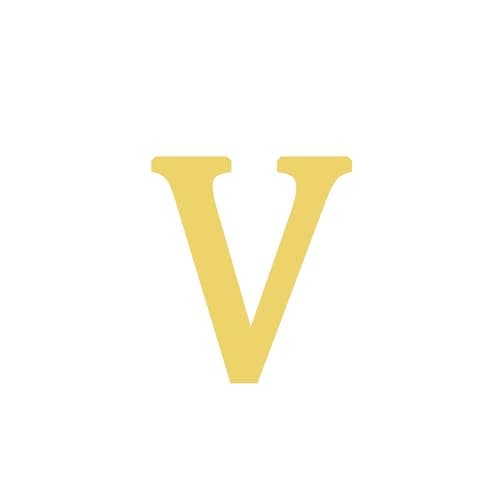 BAYLAY 18K Gold Plated Initial Bracelet for Women