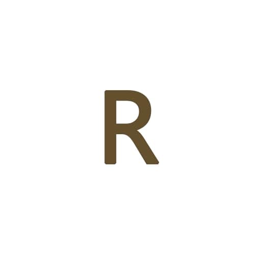 Dainty 14K Gold Plated Initial Anklet for Women
