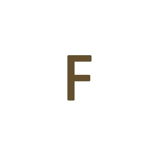 Dainty 14K Gold Plated Initial Anklet for Women