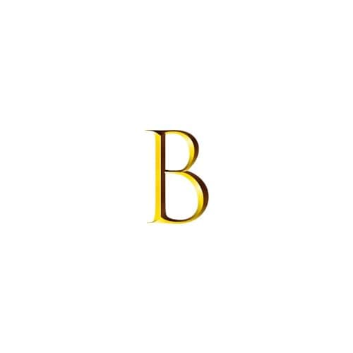 Personalized Name Bracelet - MARYLAX Gold Beaded Bracelets for Women