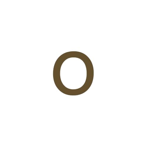 Dainty 14K Gold Plated Initial Anklet for Women