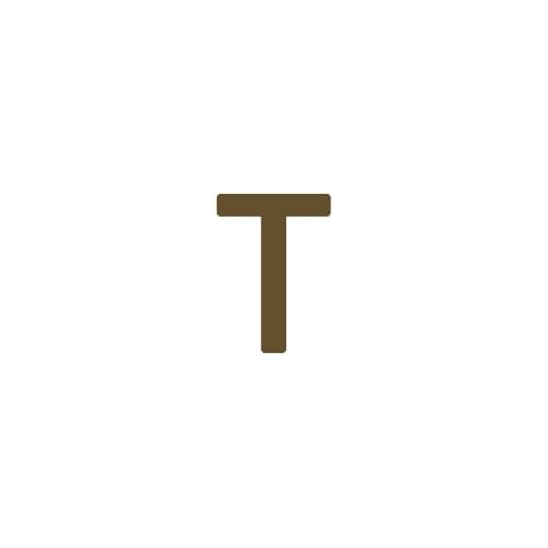 Dainty 14K Gold Plated Initial Anklet for Women