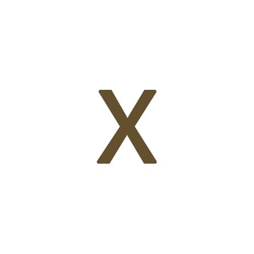 Dainty 14K Gold Plated Initial Anklet for Women