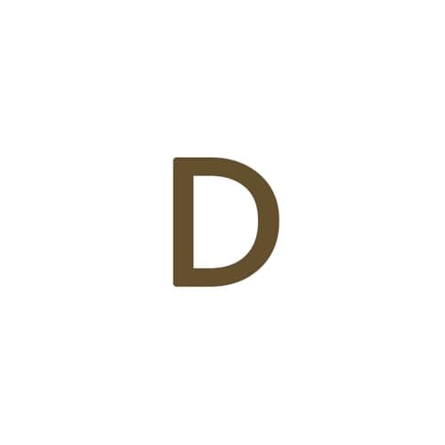 Dainty 14K Gold Plated Initial Anklet for Women