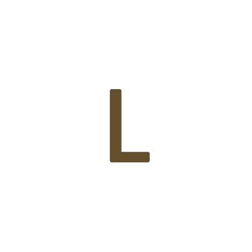 Dainty 14K Gold Plated Initial Anklet for Women