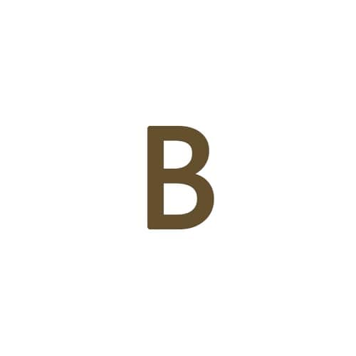 Dainty 14K Gold Plated Initial Anklet for Women