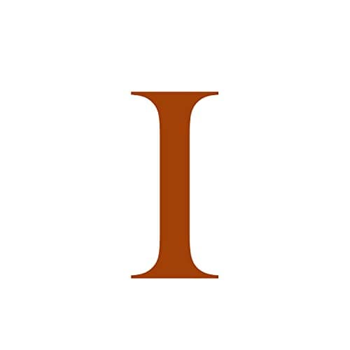 FISSEN Personalized Silver Plated Initial Necklace for Women