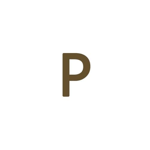 Dainty 14K Gold Plated Initial Anklet for Women
