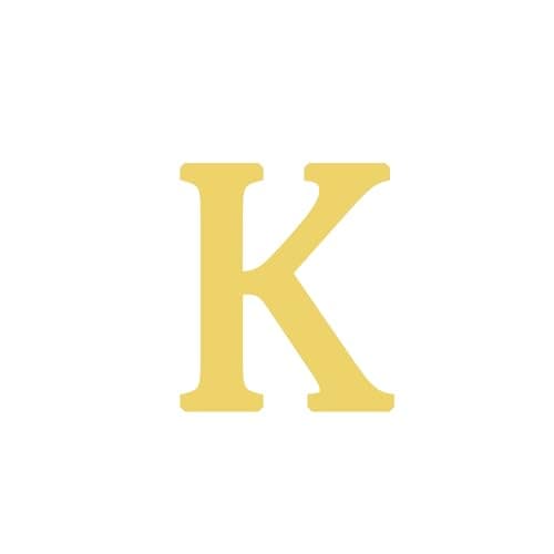 BAYLAY 18K Gold Plated Initial Bracelet for Women