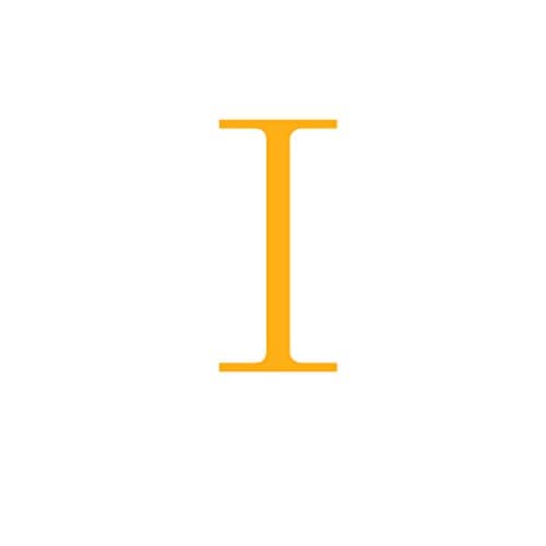 Sewyer Women's 14K Gold Plated Dainty Initial Necklace Personalized Letter Jewelry Gift