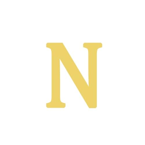 BAYLAY 18K Gold Plated Initial Bracelet for Women