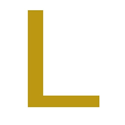 MOMOL Initial Charm 18K Gold Plated Bracelet for Women