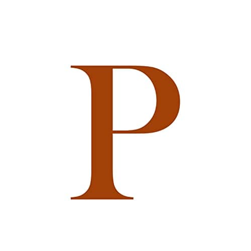 FISSEN Personalized Silver Plated Initial Necklace for Women