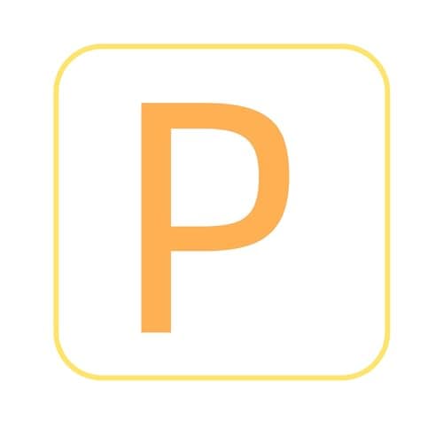 Picuzzy Gold Initial Charm Bracelets for Women