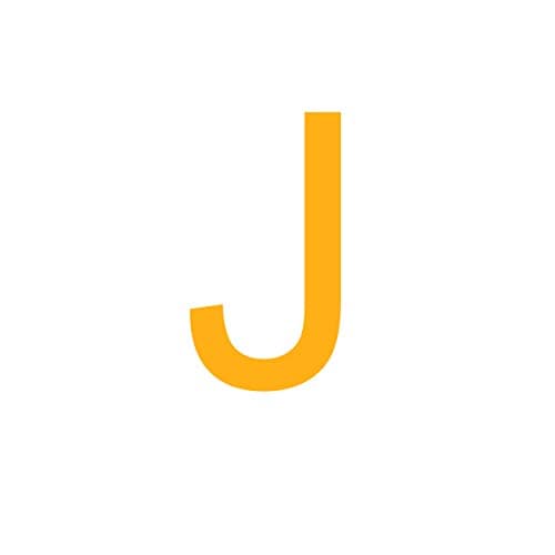 Sewyer Women's 14K Gold Plated Dainty Initial Necklace Personalized Letter Jewelry Gift