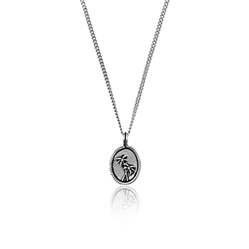 Nami Mens Silver Pendant Necklace 23" Stainless Steel Chain Premium Gift