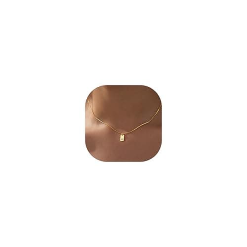 Poxtex Gold Plated Initial Necklace, Non-Tarnish, Women's Square Pendant Jewelry_gifts