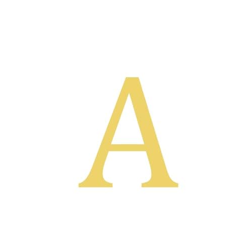 BAYLAY 18K Gold Plated Initial Bracelet for Women