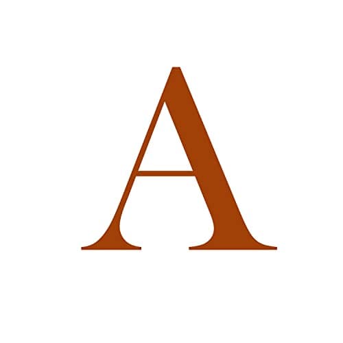 FISSEN Personalized Silver Plated Initial Necklace for Women
