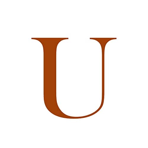 FISSEN Personalized Silver Plated Initial Necklace for Women