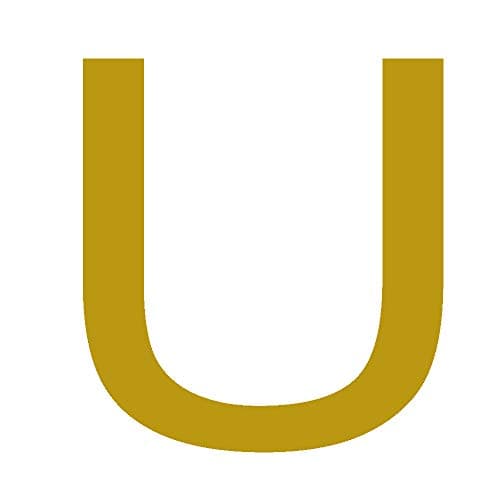 MOMOL Initial Charm 18K Gold Plated Bracelet for Women