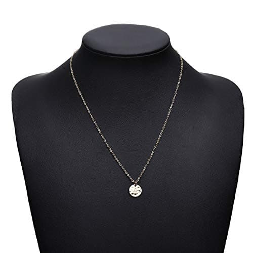 Valloey Rover 14K Gold Plated Women's Personalized Initial Necklace Round Coin Pendant