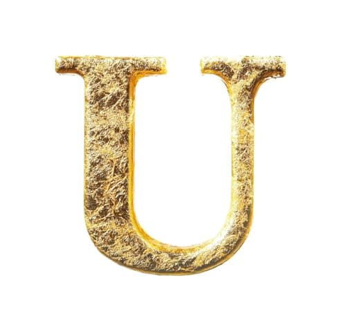 Wish 14k Real Gold Alphabet Initial Necklace for Women | Custom Charms | Birthday Gift
