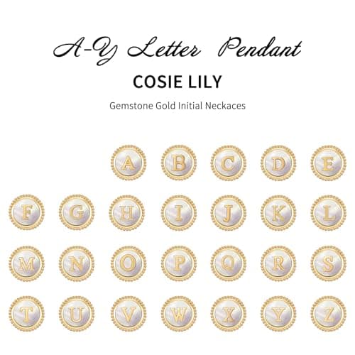 Cosie Lily Women's 14K Gold Plated Initial Alphabet Necklace